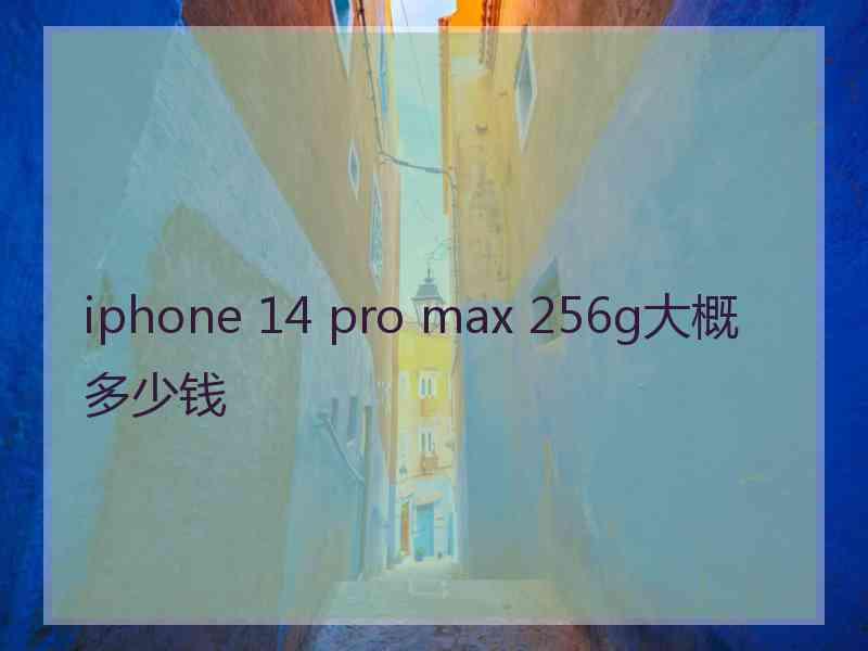 iphone 14 pro max 256g大概多少钱