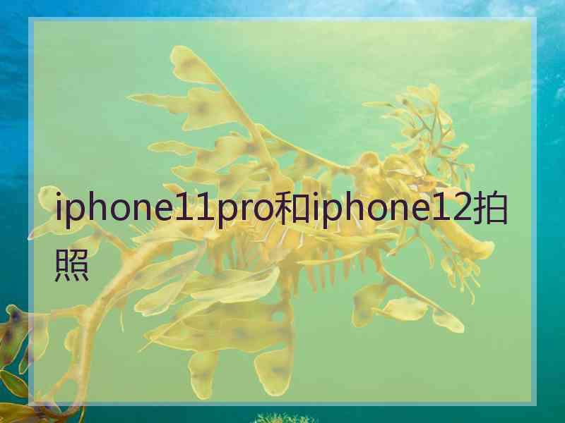 iphone11pro和iphone12拍照