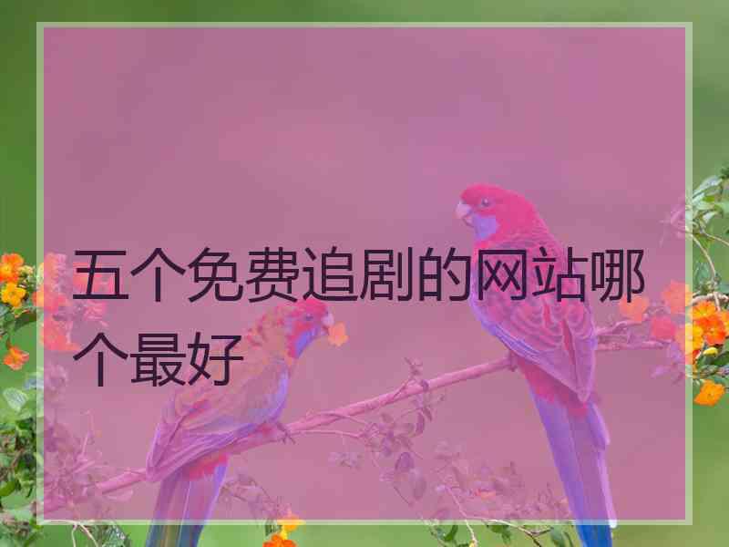 五个免费追剧的网站哪个最好