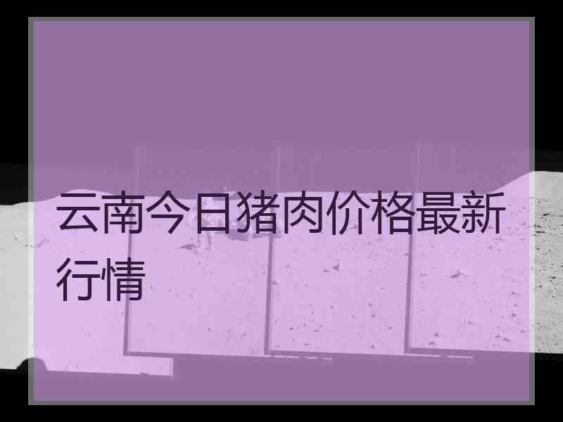 云南今日猪肉价格最新行情