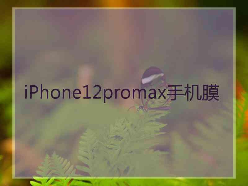 iPhone12promax手机膜