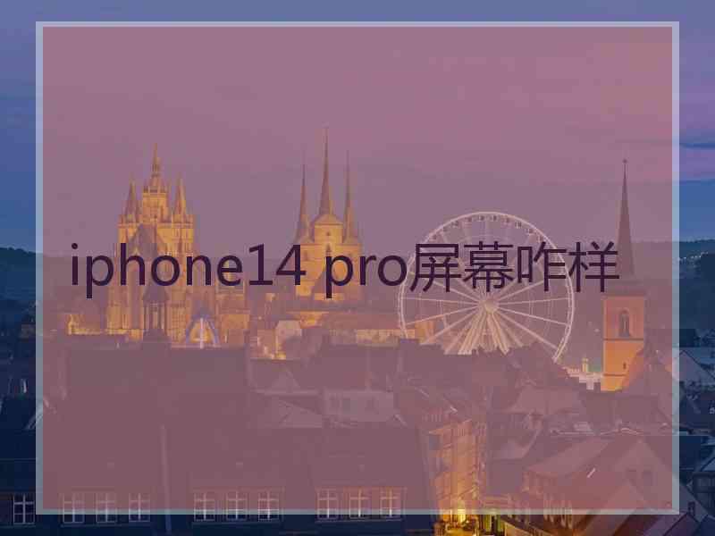 iphone14 pro屏幕咋样