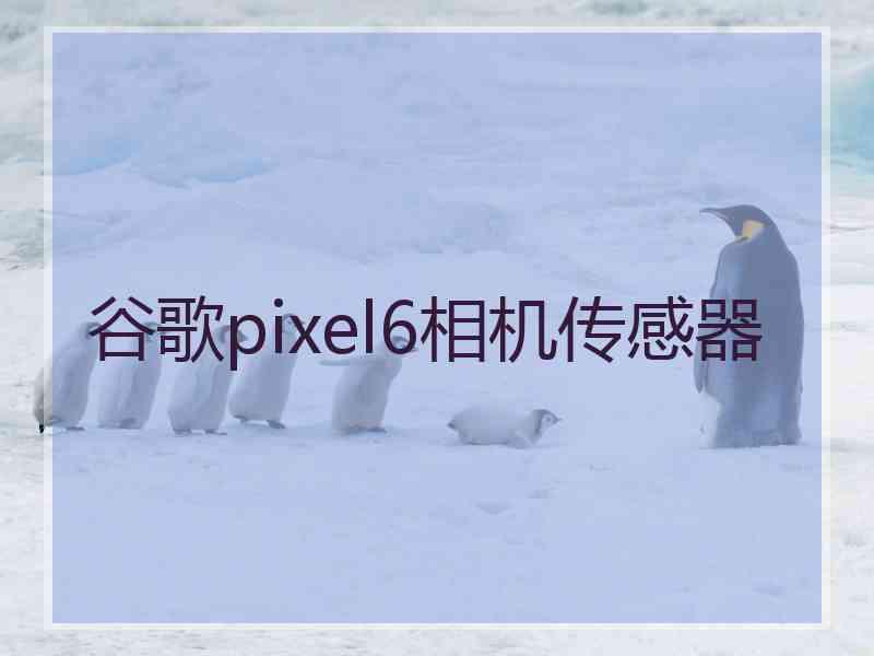 谷歌pixel6相机传感器