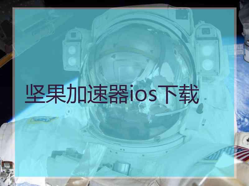 坚果加速器ios下载