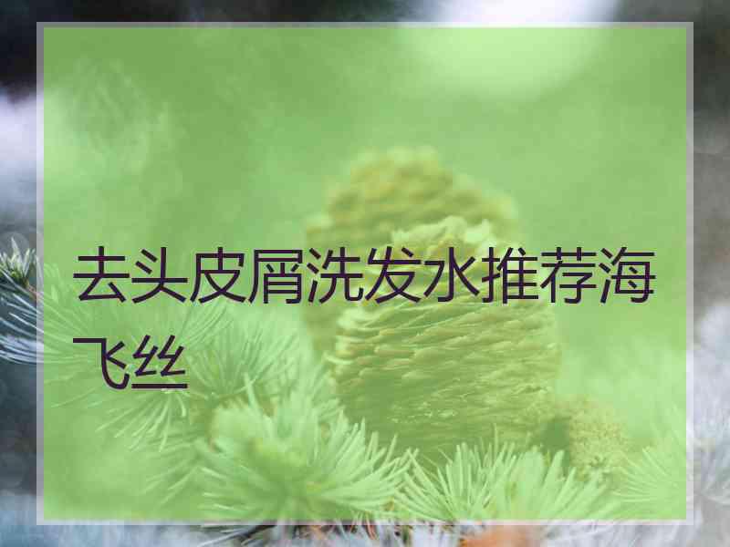 去头皮屑洗发水推荐海飞丝