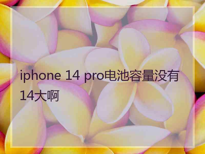 iphone 14 pro电池容量没有14大啊