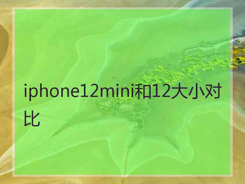 iphone12mini和12大小对比