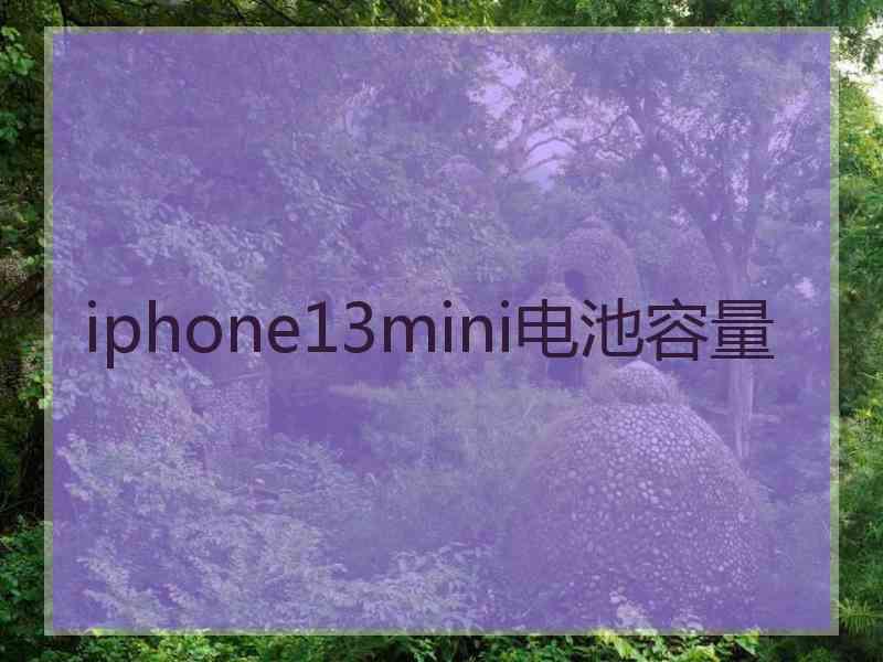 iphone13mini电池容量