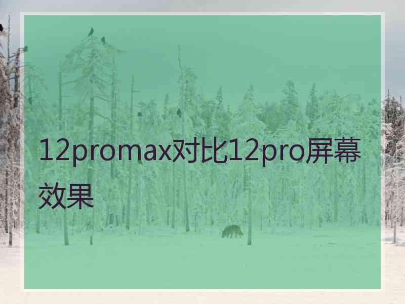 12promax对比12pro屏幕效果