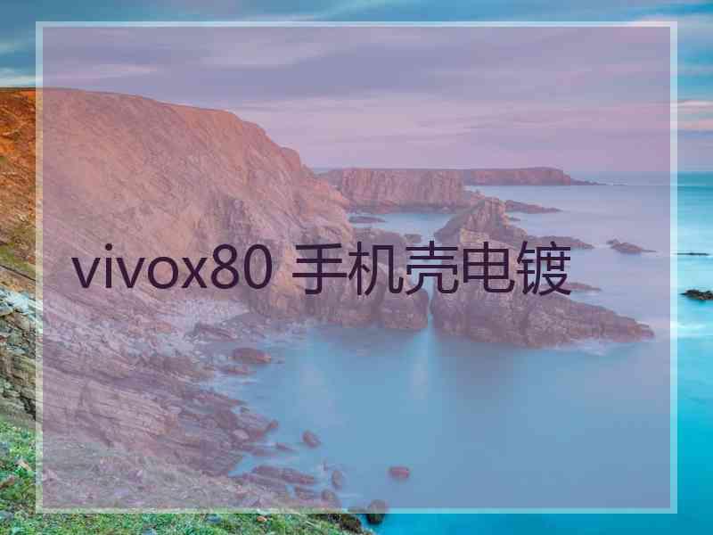 vivox80 手机壳电镀