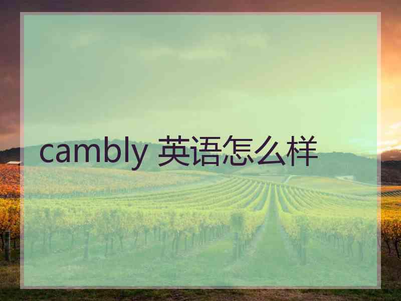 cambly 英语怎么样