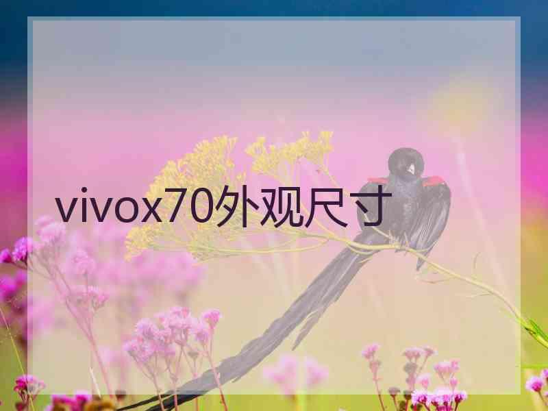 vivox70外观尺寸