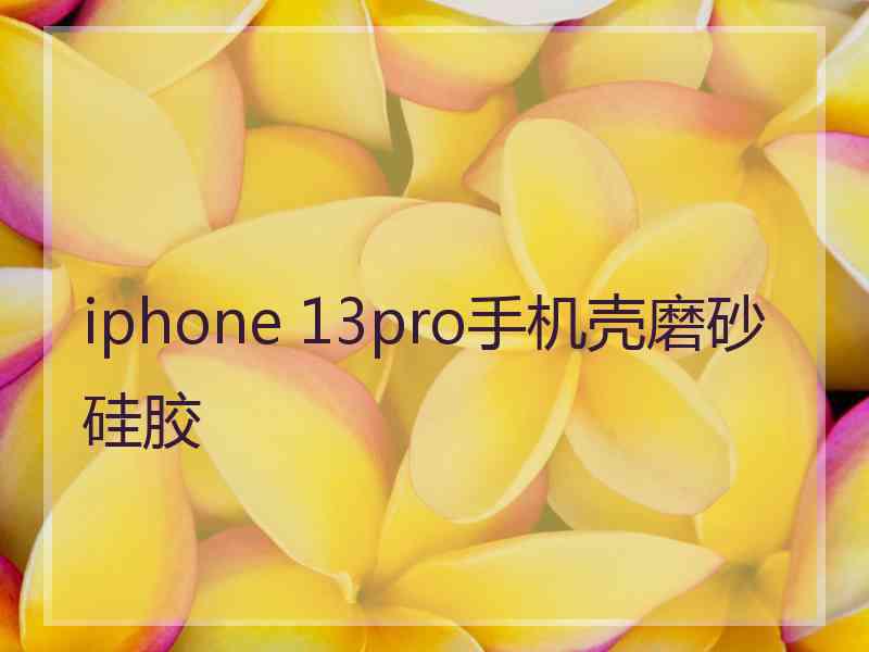 iphone 13pro手机壳磨砂硅胶