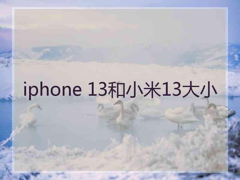 iphone 13和小米13大小