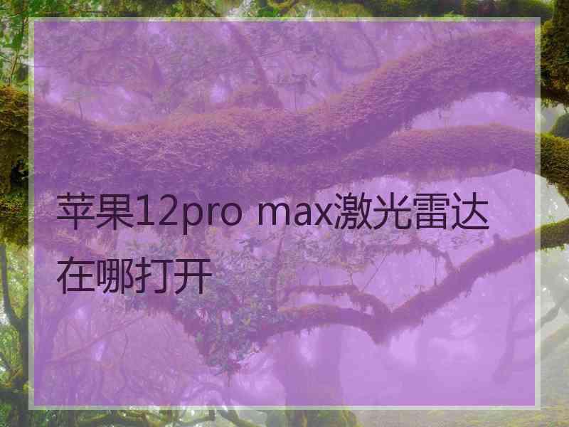 苹果12pro max激光雷达在哪打开