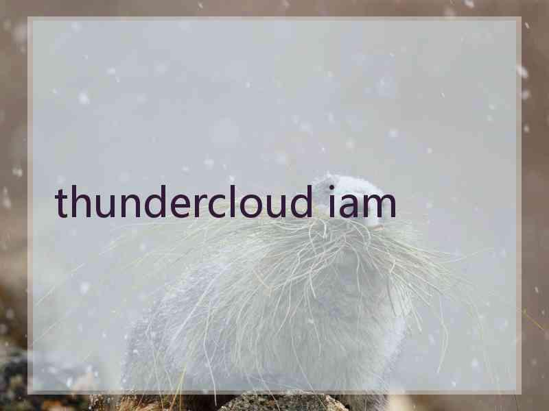 thundercloud iam