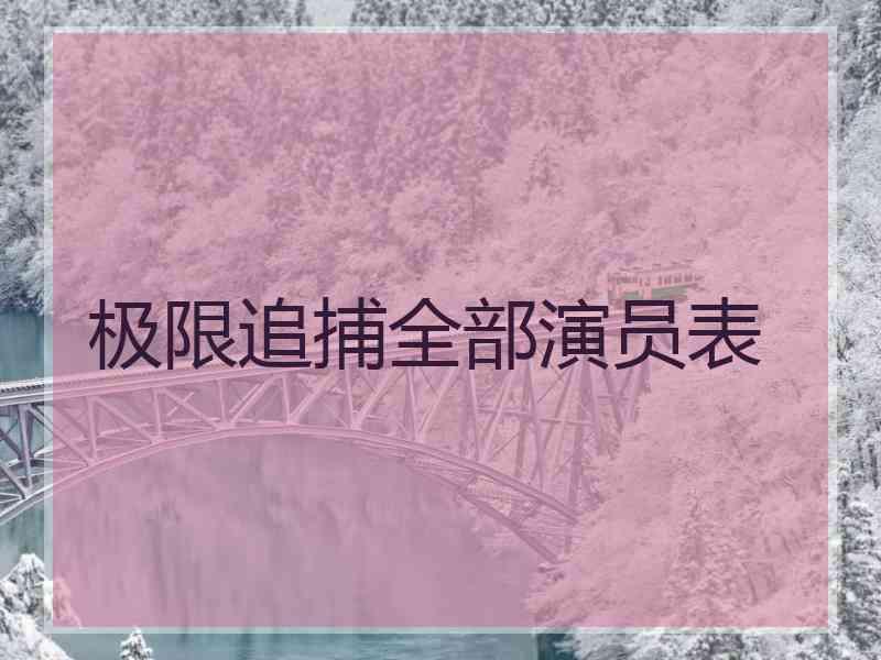 极限追捕全部演员表