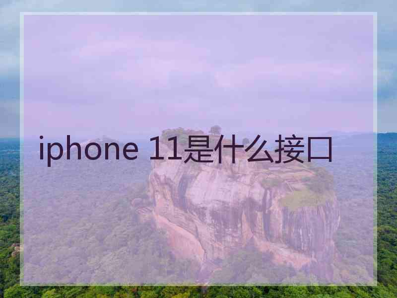 iphone 11是什么接口