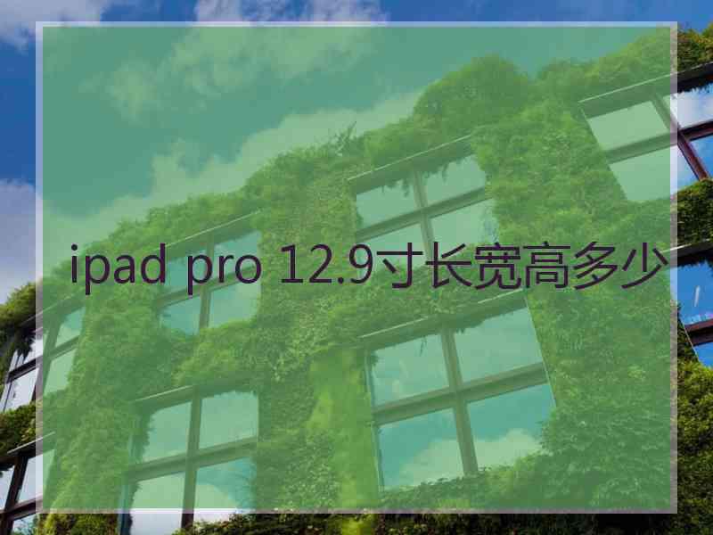 ipad pro 12.9寸长宽高多少