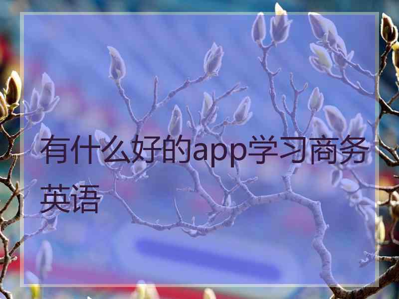 有什么好的app学习商务英语