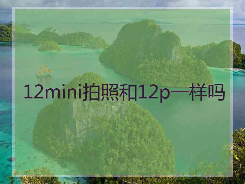 12mini拍照和12p一样吗