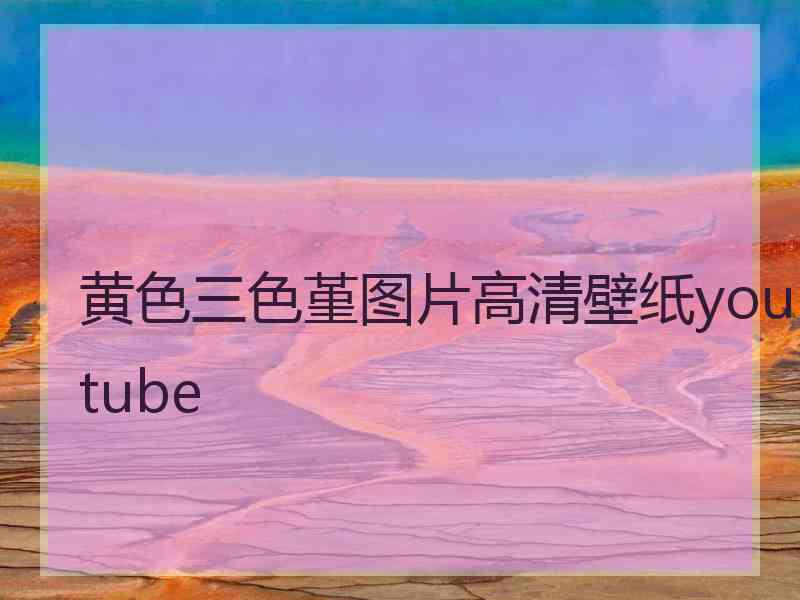 黄色三色堇图片高清壁纸youtube