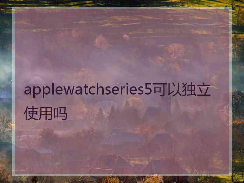 applewatchseries5可以独立使用吗