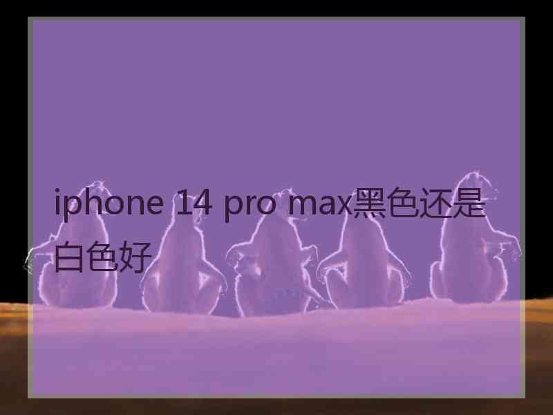 iphone 14 pro max黑色还是白色好