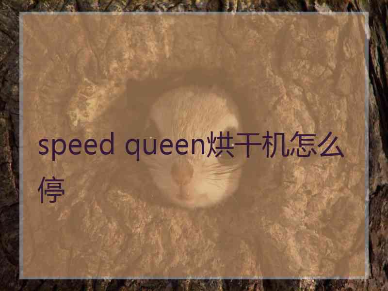 speed queen烘干机怎么停