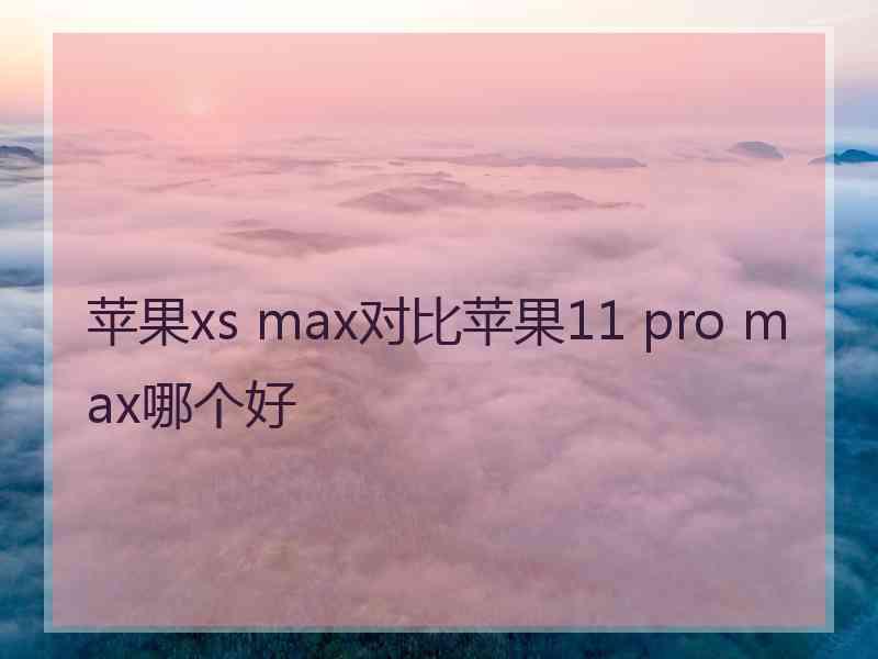 苹果xs max对比苹果11 pro max哪个好