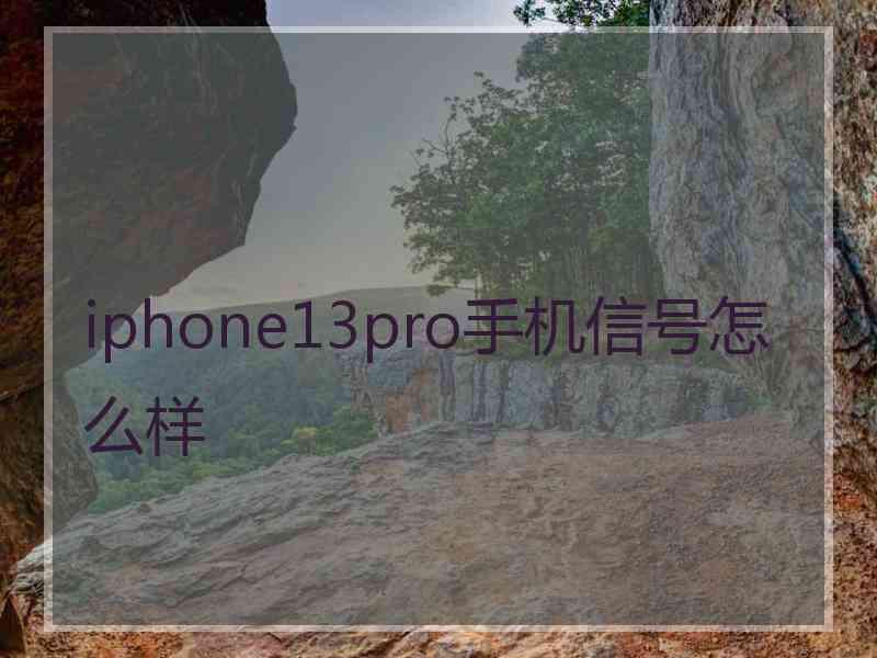 iphone13pro手机信号怎么样