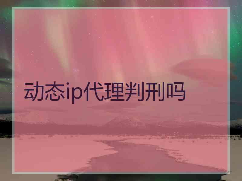 动态ip代理判刑吗