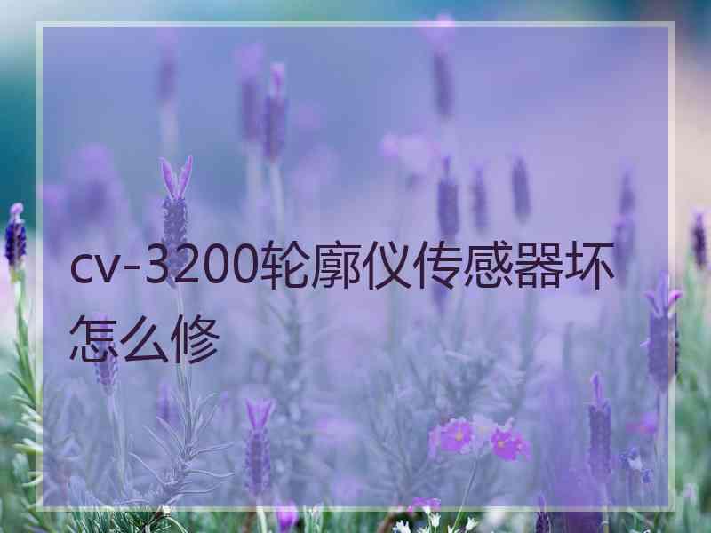 cv-3200轮廓仪传感器坏怎么修