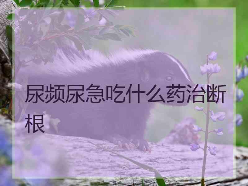 尿频尿急吃什么药治断根