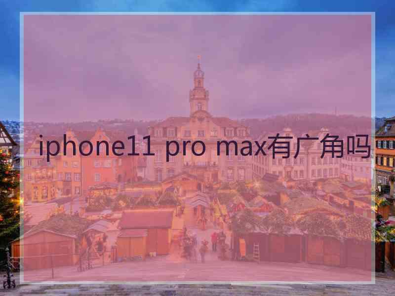 iphone11 pro max有广角吗