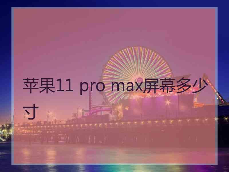 苹果11 pro max屏幕多少寸