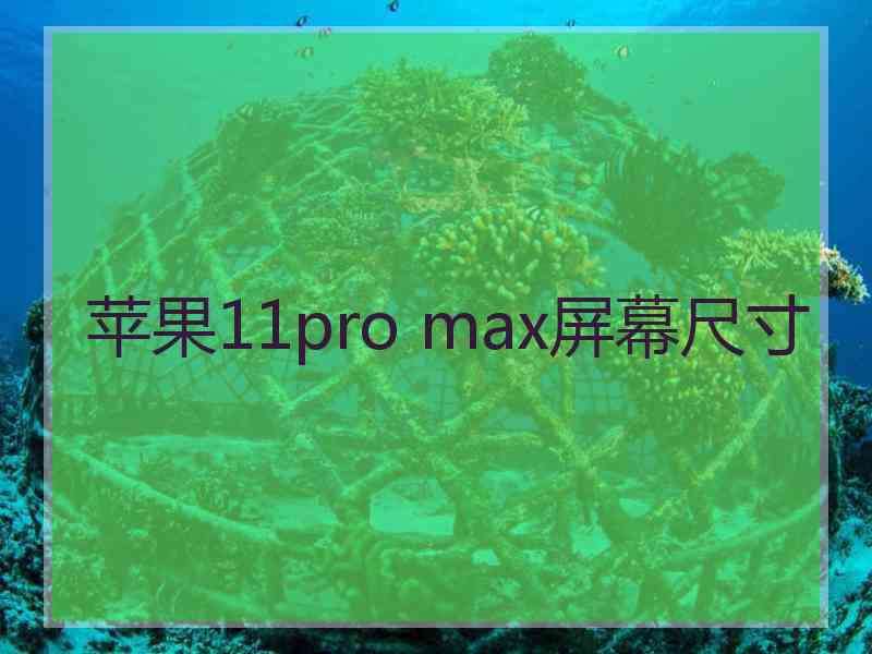 苹果11pro max屏幕尺寸