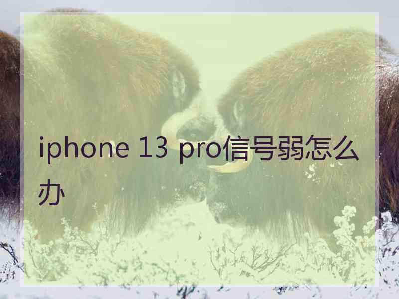 iphone 13 pro信号弱怎么办