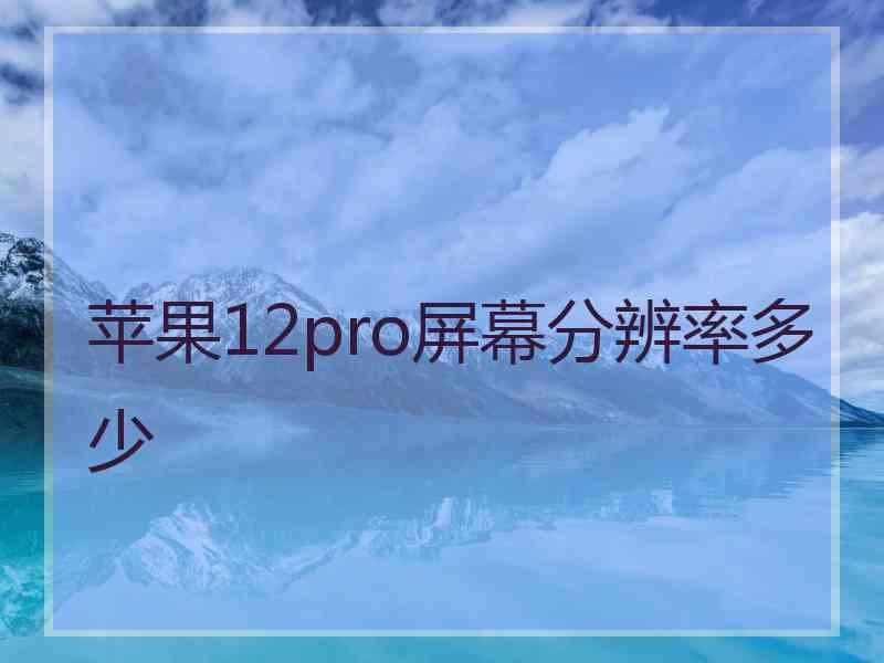 苹果12pro屏幕分辨率多少