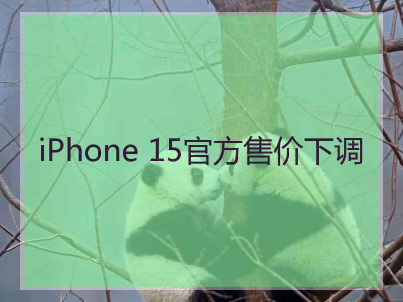 iPhone 15官方售价下调