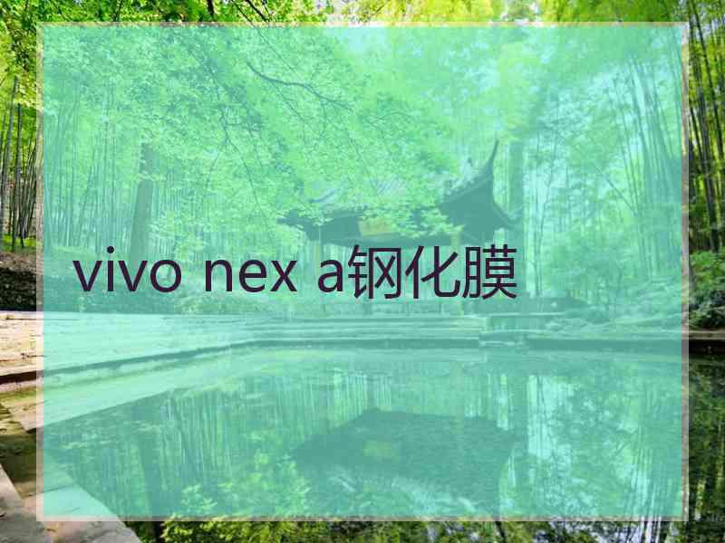 vivo nex a钢化膜