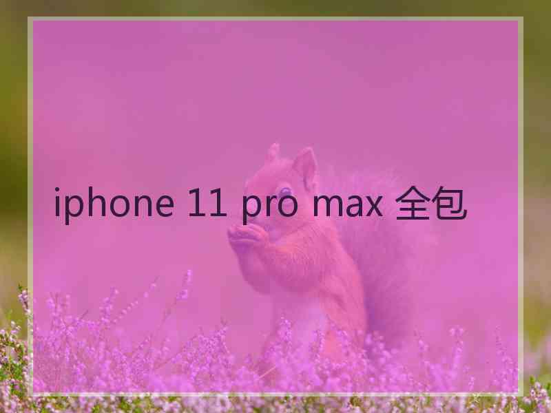 iphone 11 pro max 全包