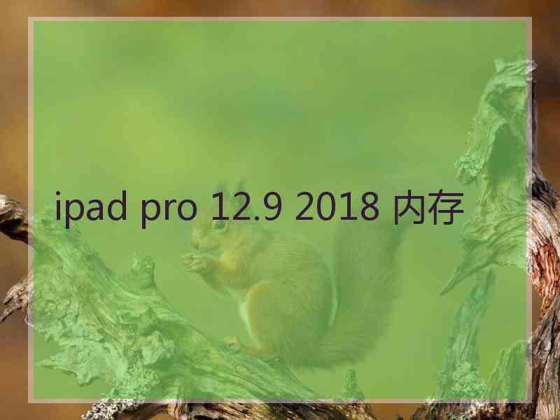 ipad pro 12.9 2018 内存