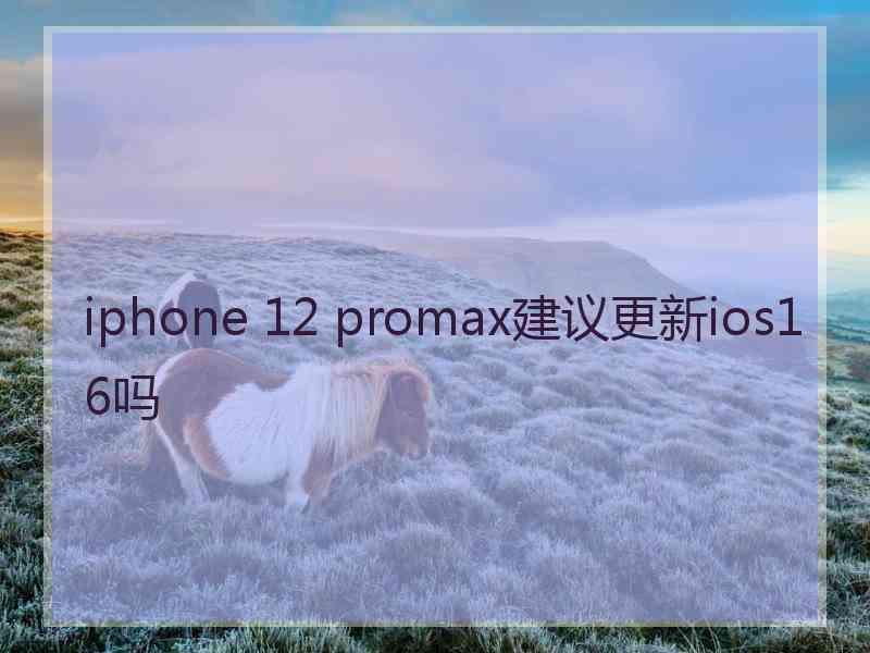 iphone 12 promax建议更新ios16吗