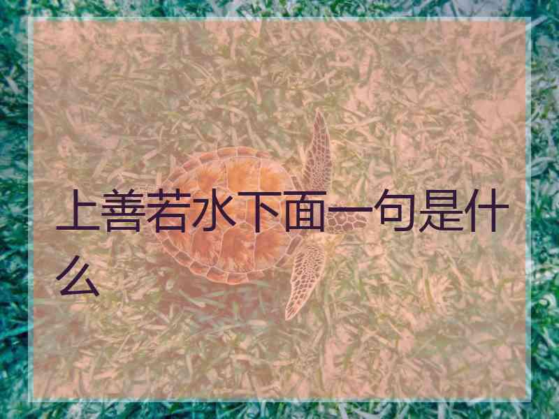 上善若水下面一句是什么