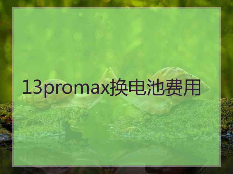 13promax换电池费用