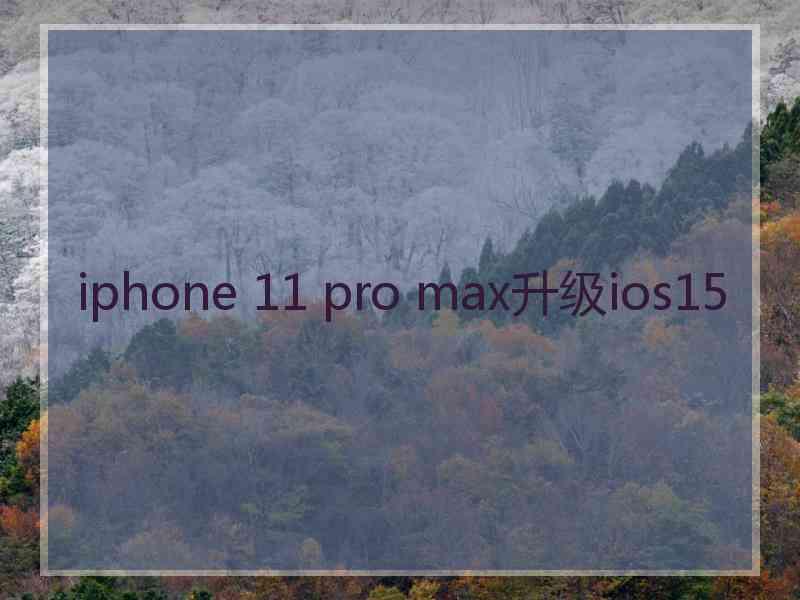 iphone 11 pro max升级ios15