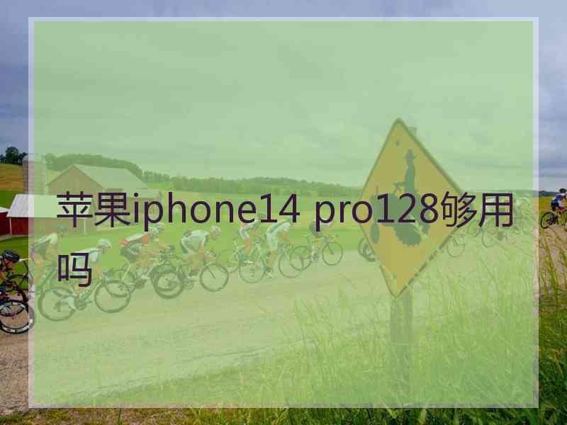 苹果iphone14 pro128够用吗