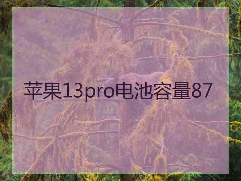 苹果13pro电池容量87