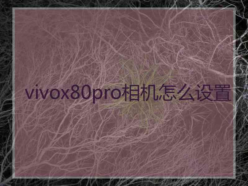 vivox80pro相机怎么设置